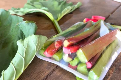 Uma planta de caule rosa e chamada ruibarbo é cultivada em São Francisco de Paula e vendida para praticamente todo o Brasil, principalmente para uso na alta gastronomia, onde vários produtos são desenvolvidos.<!-- NICAID(16227657) -->