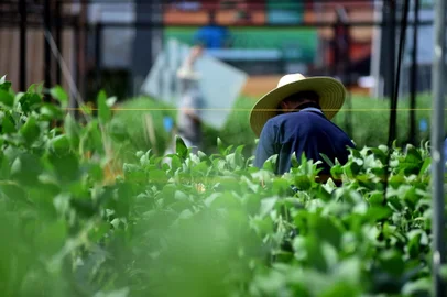 Não-Me-Toque, RS, Brasil, 02/03/2023 - Preparação para a feira de agronegócios Expodireto na cidade de Não-Me-Toque. Expositores estão na reta final da finalização dos estandes para a feira que começa na próxima segunda dia 06 - Foto: Diogo Zanatta/Especial<!-- NICAID(15364988) -->