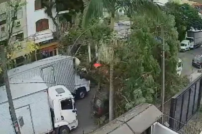 Na manhã desta quarta-feira (28), na Capital, um caminhão colidiu com uma árvore de grande porte na Rua Coronel Feijó, no bairro Higienópolis. O impacto da batida fez com que parte do vegetal despencasse na via, sobre carros e nas imediações de residências e comércios. Após a queda, equipes da prefeitura foram ao local e realizaram a remoção da árvore.Imagens de uma câmera de segurança registraram que, no momento do acidente, pedestres passavam pelo local. Segundo reportagem transmitida no Bom Dia Rio Grande nesta quinta-feira (29), ninguém ficou ferido. Jackson Martins é residente na localidade e conta que há cerca de seis meses a comunidade alertava a prefeitura sobre o caso. No entanto, até o acidente, nenhuma ação teria sido tomada pela administração.<!-- NICAID(15469744) -->