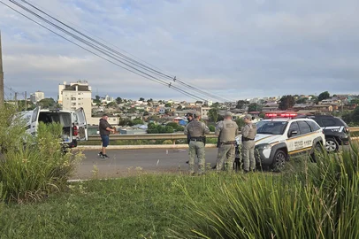 Polícia Civil investiga atropelamento que causou morte em Lagoa Vermelha<!-- NICAID(16003642) -->