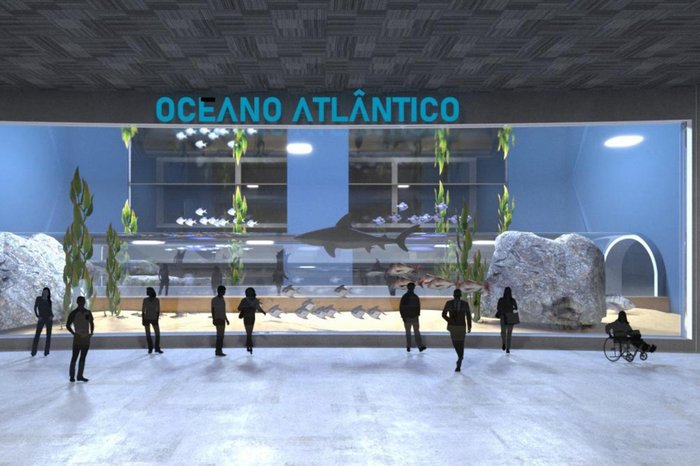 Grupo Oceanic / Divulgação Grupo Oceanic / Divulgação