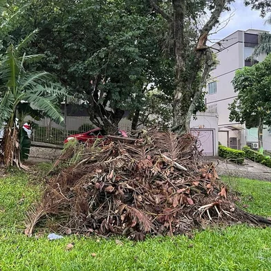 Moradores reclamam da falta de poda de vegetação entre os bairros Bom Jesus e Jardim do Salso em Porto Alegre. Fotos na Rua São Lucas e arredores. Foto: Kathlyn Moreira / Agencia RBS<!-- NICAID(15735941) -->