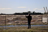 PORTO ALEGRE, RS, BRASIL, 23-06-2025 – Cheia do Guaíba. Após uma semana de chuvas, o nível atinge 3,28 metros. Com o vento sul persistente e ondas elevadas, a água começa a invadir os armazéns do Cais.<!-- NICAID(16065558) -->