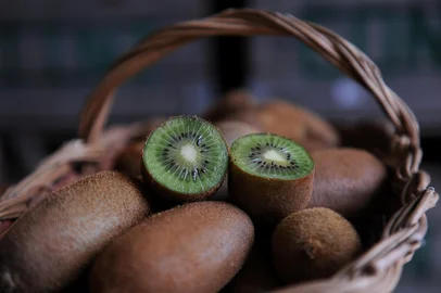 FARROUPILHA, RS, BRASIL, 06/07/2022 -  Celito Contini é um tradicional produtor de kiwi de Farroupilha. (Marcelo Casagrande/Agência RBS)<!-- NICAID(15141673) -->