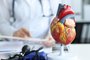 Artificial plastic model of human heart standing against background of cardiologist closeupRéplica de coração - Foto: H_Ko/stock.adobe.comFonte: 482640125<!-- NICAID(15548931) -->
