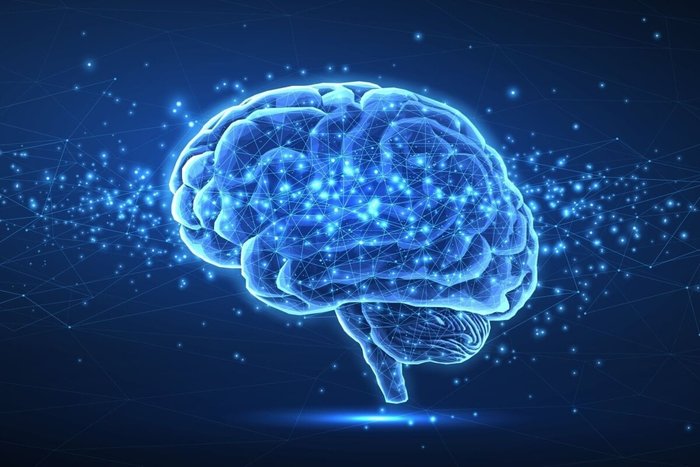 CoreDESIGN / Shutterstock | Portal EdiCase CoreDESIGN / Shutterstock | Portal EdiCase