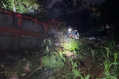 Motorista morre após caminhão com suínos  tombar na RSC-472, em Tenente Portela<!-- NICAID(15891604) -->