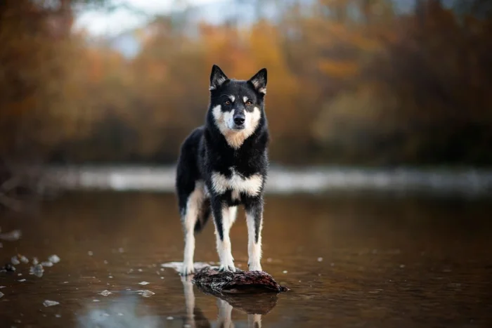 Enna8982 / Shutterstock | Portal EdiCase Enna8982 / Shutterstock | Portal EdiCase