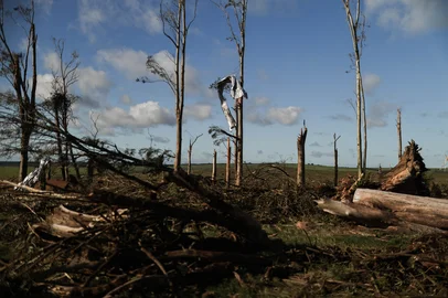 PEDRO OSÓRIO, RS, BRASIL, 07-08-2026: A localidade de Maratazzo, área rural de Pedro Osório, na região Sul do Estado, foi atingida por um tornado no final da tarde de quinta-feira. Foto: Renan Mattos/Grupo RBS<!-- NICAID(16342105) -->