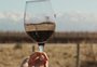 Vinho brasileiro: conheça 5 tendências da enologia que estão surgindo nos últimos tempos