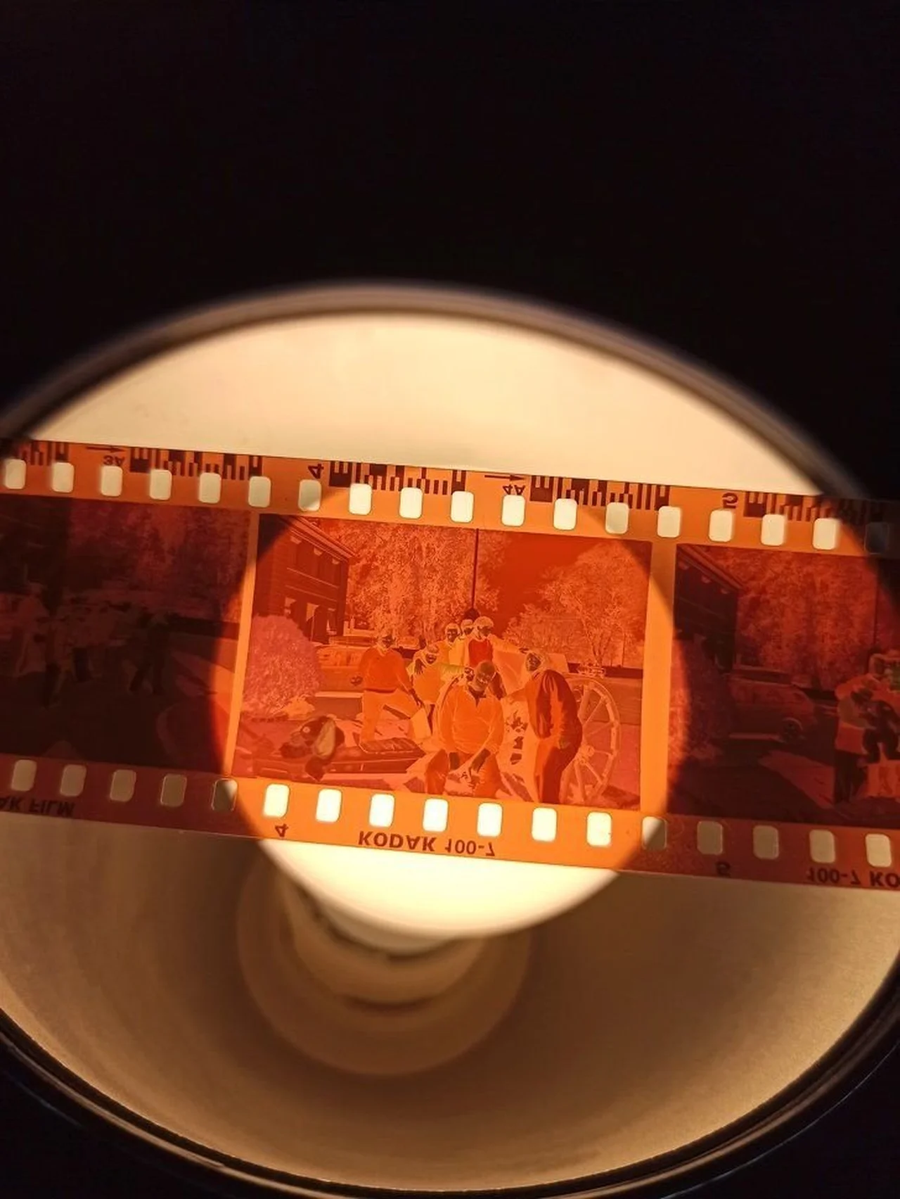 Reprodução
