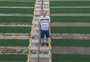 A história do torcedor do Avenida que vive a paixão pelo clube desde o berço
