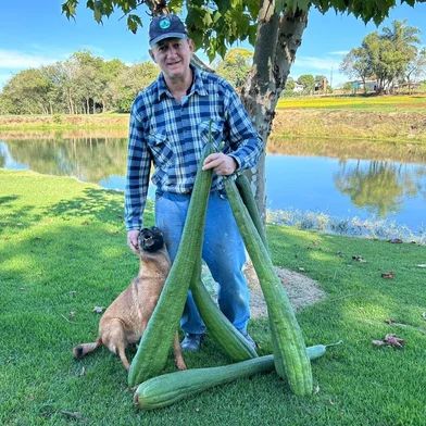 Agricultor colhe buchas vegetais três vezes maiores que o tamanho normal em Ijuí: "Semente abençoada"<!-- NICAID(16044717) -->