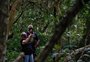 Fechado desde março, parque com fauna nativa e observatório de aves é reaberto em Arroio do Sal
