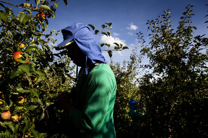 Mateus Bruxel / Agencia RBS Mateus Bruxel / Agencia RBS