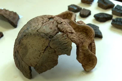 Local onde pesquisadores encontraram panela milenar guardava outros 700 fragmentos arqueológicos<!-- NICAID(16110977) -->