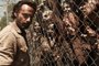 Rick Grimes (Andrew Lincoln) - The Walking Dead - Season 4 _ Gallery - Photo Credit: Frank Ockenfels 3/AMC<!-- NICAID(10197576) -->