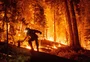 Julho foi o segundo mês mais quente da história e 2024 pode quebrar recorde de calor, diz observatório da União Europeia