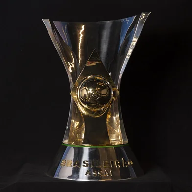 Taça do Brasileirão de 2019.<!-- NICAID(14053859) -->