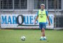 Do que o Grêmio precisa para garantir vaga na Libertadores ao fim da rodada