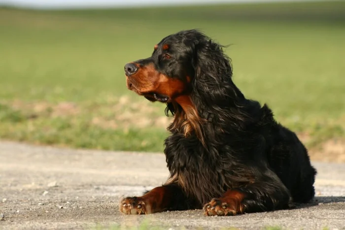 Sabine Hagedorn / Shutterstock | Portal EdiCase