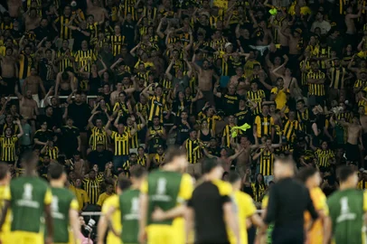 Fans of Peñarol cheer for their team after loosing the Copa Libertadores semi-final first leg football match between Brazil's Botafogo and Uruguay's Peñarol at the Olimpico Nilton Santos stadium in Rio de Janeiro, Brazil, on October 23, 2024. (Photo by Mauro PIMENTEL / AFP)<!-- NICAID(15902509) -->