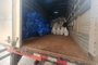 Na manhã desta quarta-feira (6), foram entregues 300 kits de higiene e cestas básicas nos bairros mais afetados pela enchente de novembro em Eldorado do Sul<!-- NICAID(15618127) -->