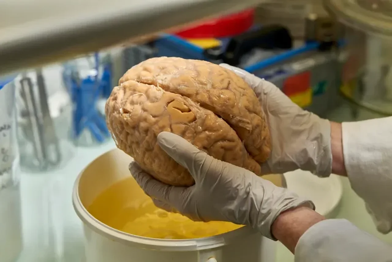 Reprodução/National Geographic