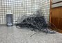 Melo corta fios soltos em postes de Porto Alegre