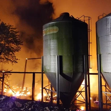 Incêndio em aviário, em Nova Bréscia, no Vale do Taquari, matou mais de 10 mil pintos<!-- NICAID(15191219) -->