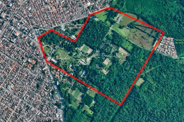 Embrapa / Divulgação