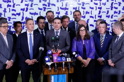 Marina Ramos / Câmara dos Deputados / Divulgação image