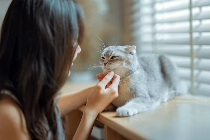 oatawa / Shutterstock | Portal EdiCase oatawa / Shutterstock | Portal EdiCase