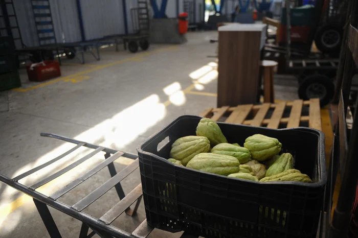 Bruno Todeschini / Agencia RBS