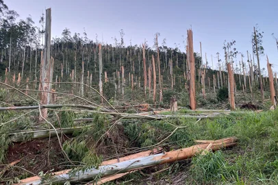 Fotos tornado em Erval Grande<!-- NICAID(16034991) -->