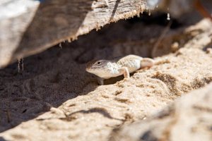 Daniela Martins M. Oliveira / Arquivo Pessoal