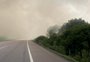 Fumaça de incêndio em vegetação prejudica tráfego na BR-392 entre Pelotas e Rio Grande