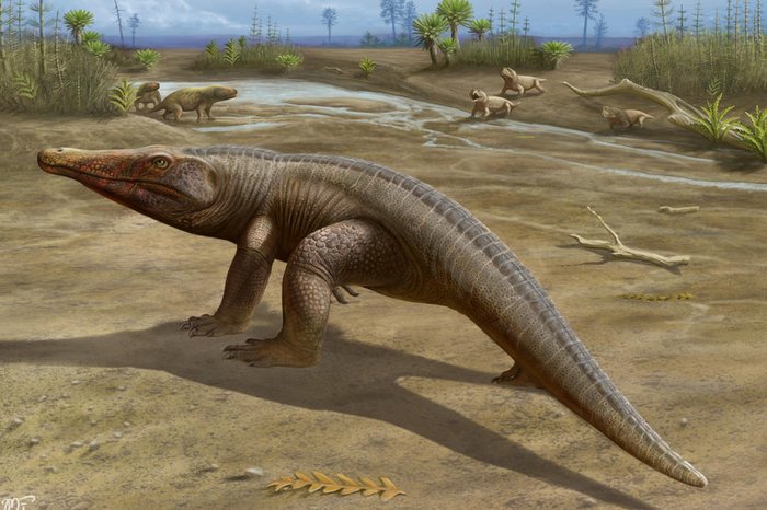 Novo dinossauro português com 130 milhões de anos descoberto no Cabo  Espichel - Renascença