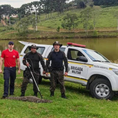 Brigada Militar resgata Jacaré-de-Papo-Amarelo em Veranópolis<!-- NICAID(15380634) -->