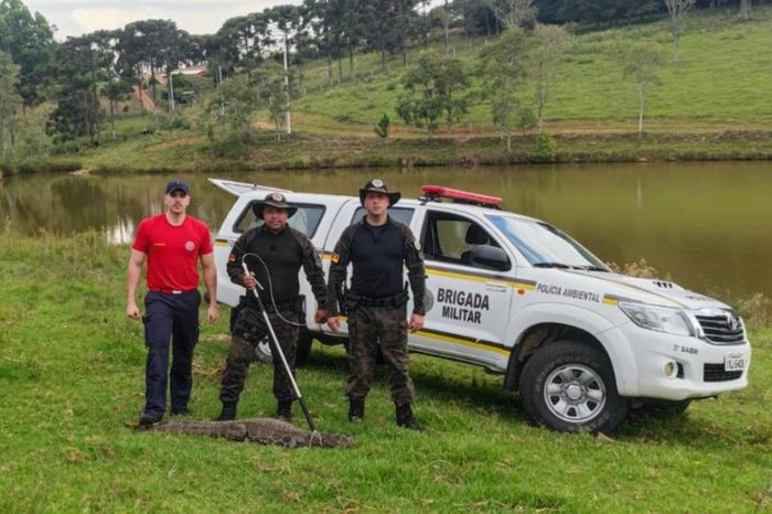 Brigada Militar / Divulgação
