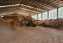 Indústria do tabaco transforma resíduo em fertilizante orgânico