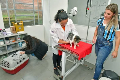 Como funciona a UBS exclusiva para animais de Santo Ângelo<!-- NICAID(15495020) -->
