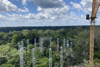 AmazonFace / Divulgação image