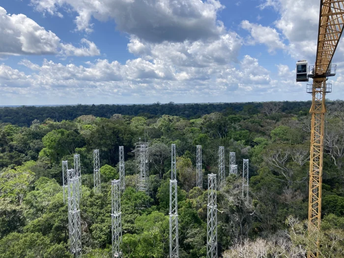 AmazonFace / Divulgação AmazonFace / Divulgação