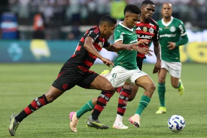 futebol, flamengo, palmeiras