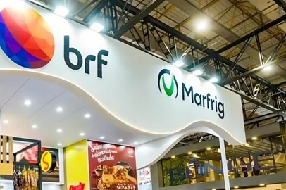 Fusão entre a Marfrig e BRF<!-- NICAID(16038522) -->
