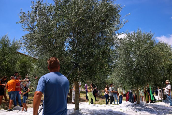 Gustavo Mansur / Palácio Piratini / Divulgação