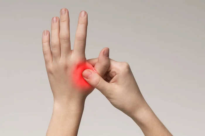 Prostock-studio / Shutterstock | Portal EdiCase Prostock-studio / Shutterstock | Portal EdiCase