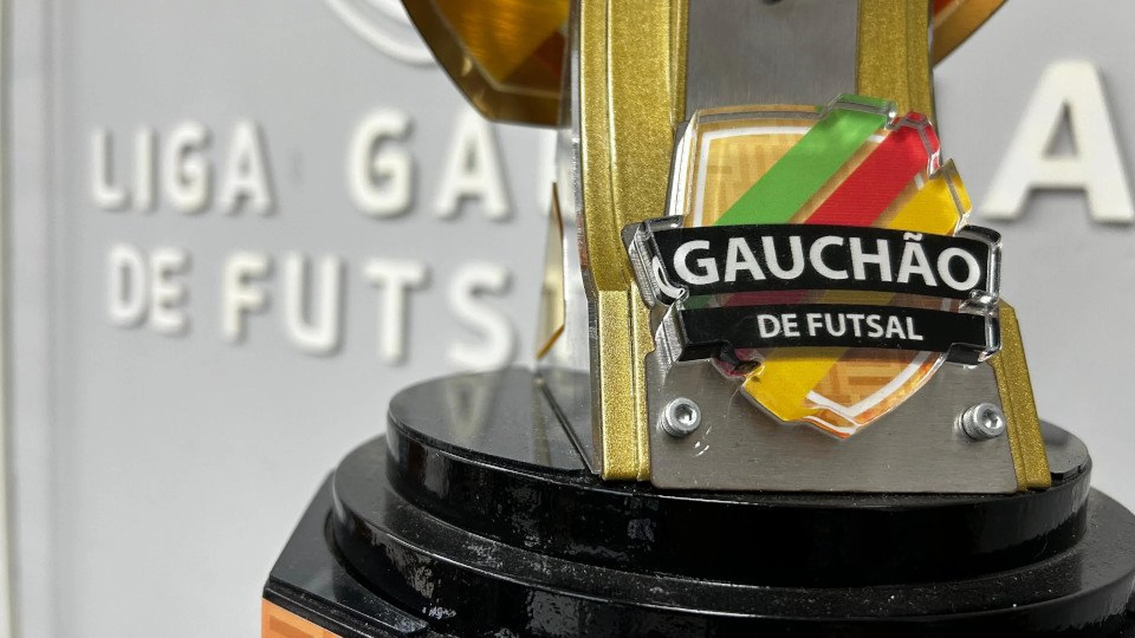 Liga Gaúcha de Futsal / Divulgação