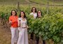 Da produção ao consumo, mulheres assumem a liderança no mundo do vinho gaúcho